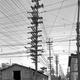Illustration for article titled Photos from the Days When Thousands of Cables Crowded the Skies